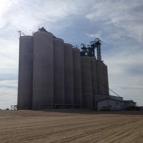 Viterra Inc.